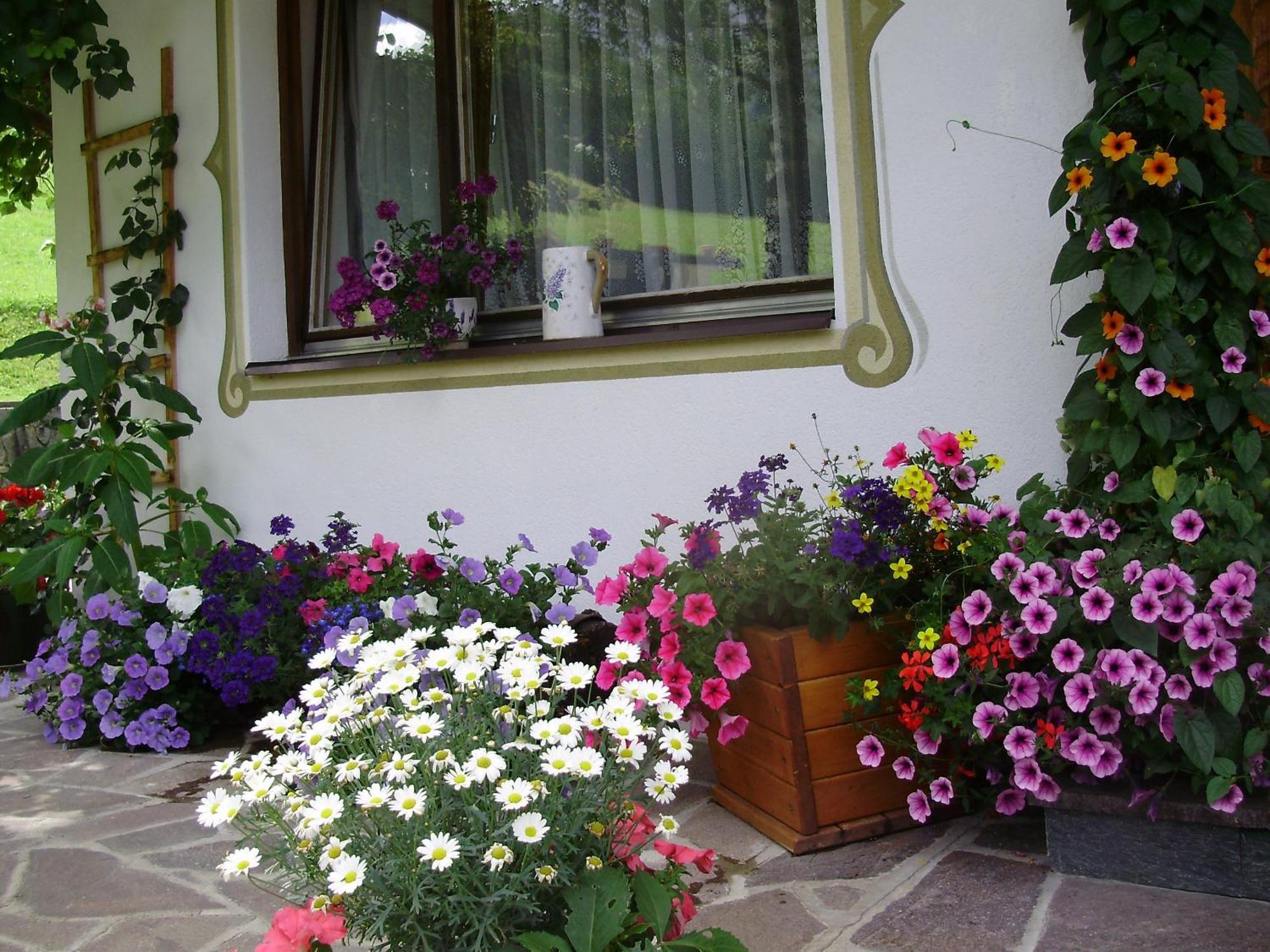 Haus Elisabeth Apartment Berwang Exterior photo